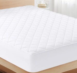 WhatsApp Image 2026-02-07 at 9.43.43 PM