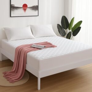 WhatsApp Image 2026-02-07 at 9.45.04 PM (2)