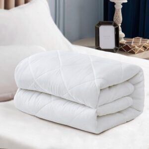 WhatsApp Image 2026-02-07 at 9.46.50 PM